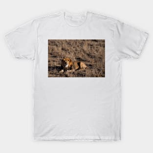 Raspberry Lion T-Shirt